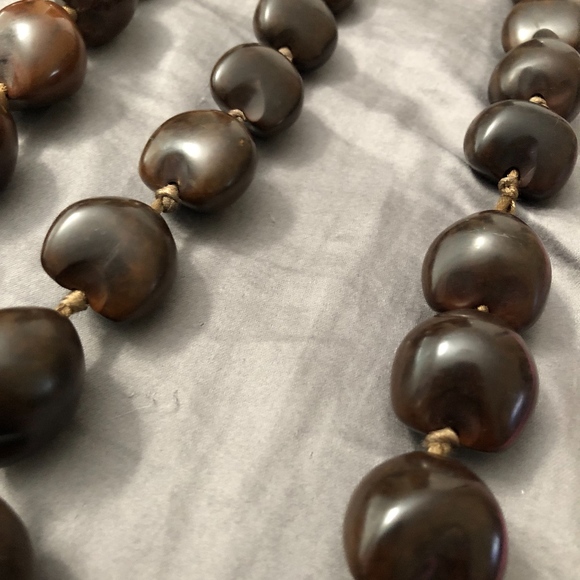 Hawaiian Cukui Nuts - Picture 4 of 7